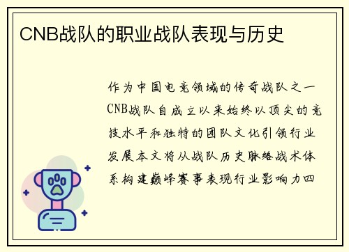 CNB战队的职业战队表现与历史